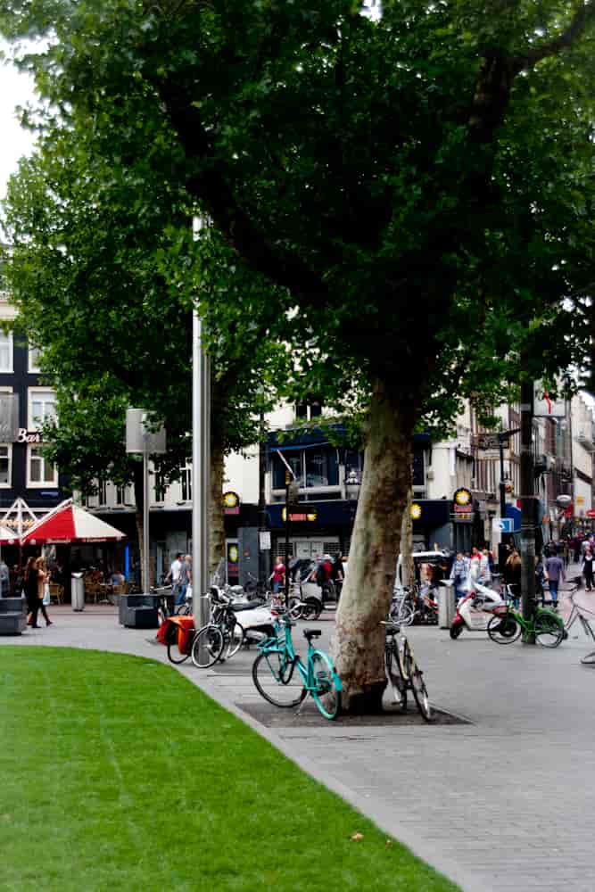 Zdjęcie z Amsterdamu - widok na główny środek transportu czyli rowery