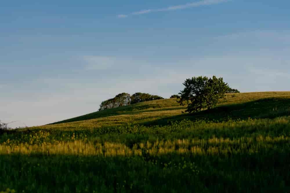 Wzgórza Toskanii- zdjęcia