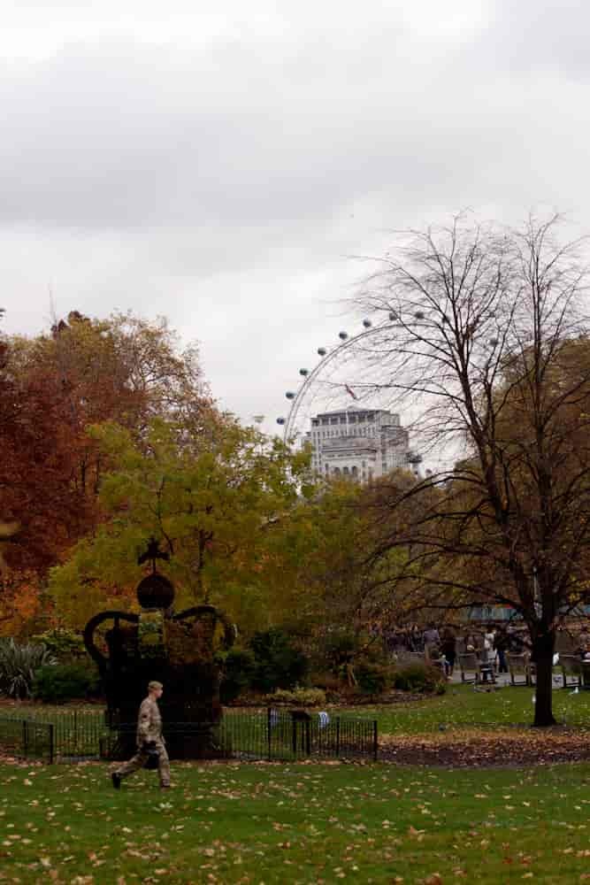 widok na park i słynną karuzelę w Londynie