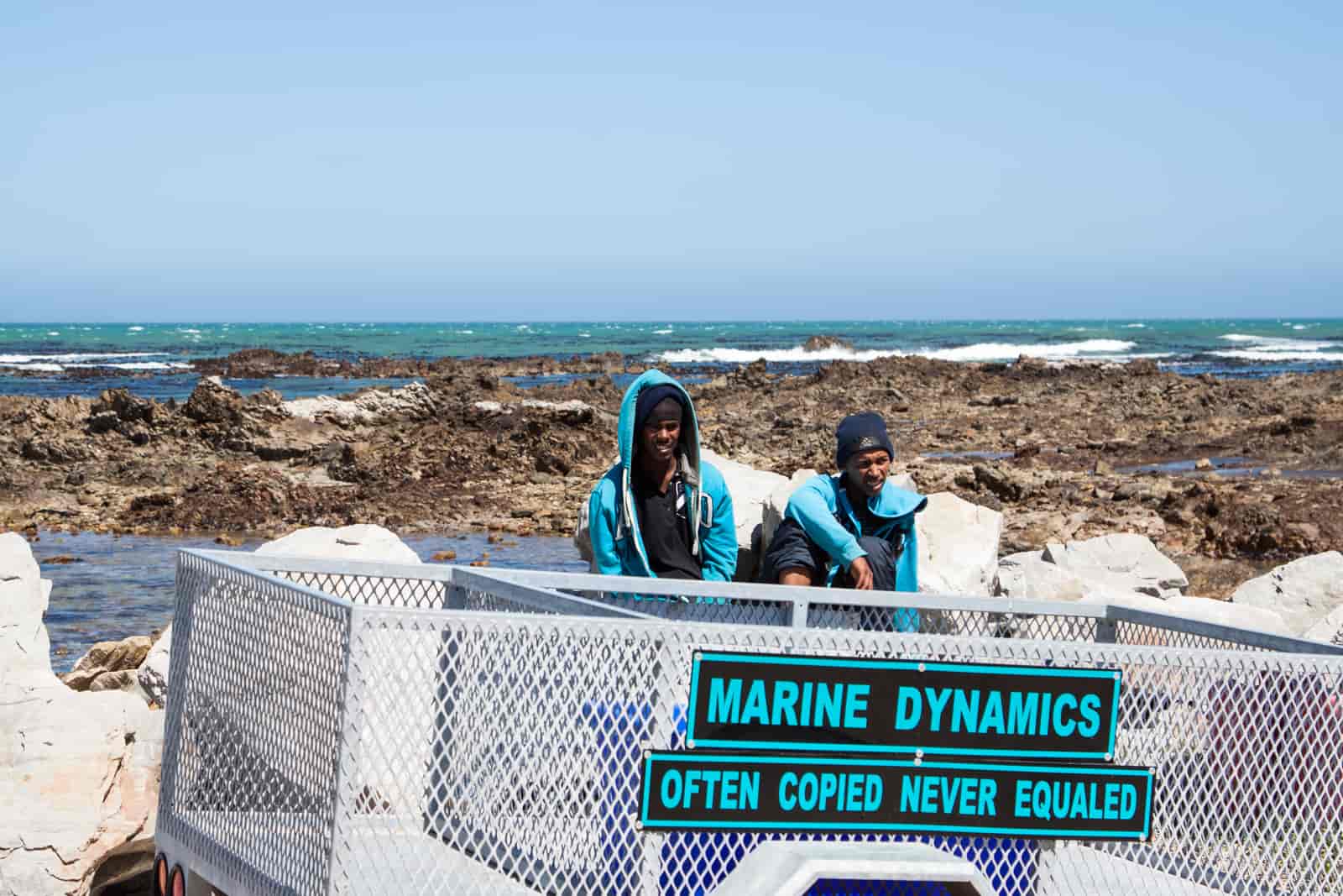 Marine DYNAMICS- nurkowanie z rekinami w RPA