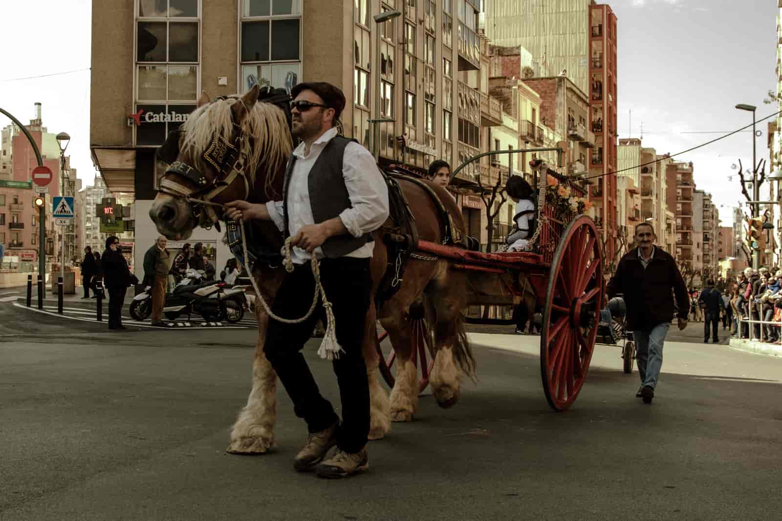 Zwiedzanie Tarragony - festiwal koni zaprzęgowych